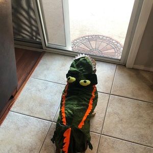 Meet your Posher, Kathy